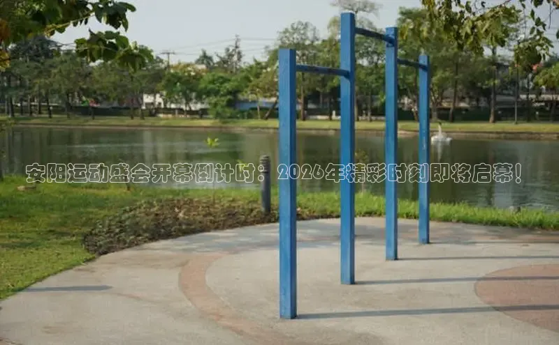 XC体育