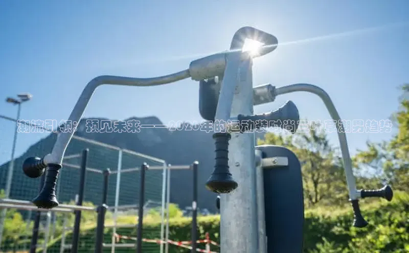 xc体育官网入口